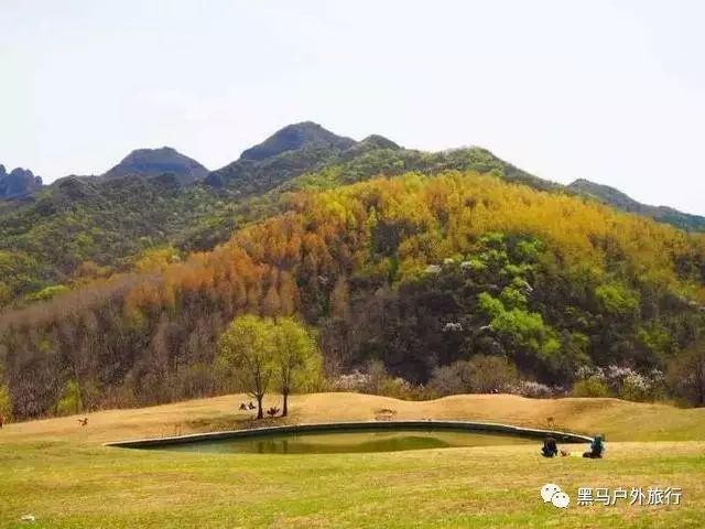 太阁立志传5